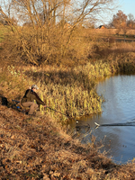 Snímek obrazovky 2025-11-10 094043.png